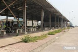 Luồng lạch bồi lắng 'bóp nghẹt' cảng cá trăm tỷ