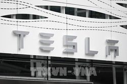 Tesla bứt phá tại Hàn Quốc, doanh số tăng hơn 250% giữa đà giảm toàn cầu
