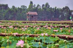 Quê hương Á khôi 1 Miss Cosmo TP.HCM có những điểm đến nổi tiếng nào?