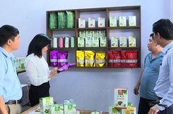 Ph&aacute;t triển sản phẩm OCOP từ c&acirc;y dược liệu