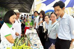 Khai mạc Ngày hội Sống xanh tỉnh An Giang năm 2026