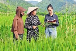 'Tòa soạn một người' ở xã: Khoảng lặng sau những bản tin