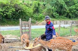 Mở hướng làm kinh tế cho vùng cao:Những mô hình kinh tế mới