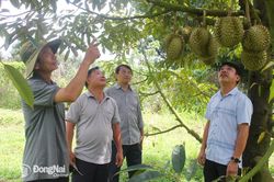 Nam Đô sẽ sớm chuyển mình