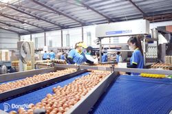 Ngành nông nghiệp với đà bứt phá mới