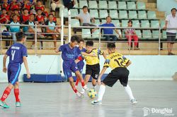 Khai mạc Cụm thi đấu vòng loại số 2 Giải bóng đá U11 Cúp Báo và Phát thanh, Truyền hình Đồng Nai - C.P. Việt Nam lần thứ 21