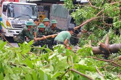 Đồng Tháp: Khẩn trương khắc phục hậu quả dông lốc, sớm ổn định đời sống người dân
