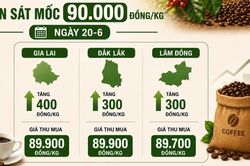 Ng&agrave;y 20-6, gi&aacute; c&agrave; ph&ecirc; tiến s&aacute;t mốc 90.000 đồng/kg