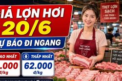 Giá lợn hơi ngày 20/6: Chênh lệch Bắc - Nam lên tới 6.000 đồng/kg