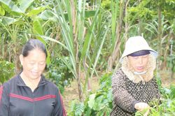 Làng Mông dưới ngọn núi Chúa