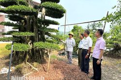 Ninh Bình triển khai phong trào 'Gửi tiền tiết kiệm chung tay vì người nghèo'