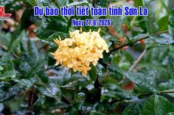 Dự b&aacute;o thời tiết to&agrave;n tỉnh Sơn La ng&agrave;y 21/06/2026