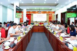 Các Ban HĐND tỉnh thẩm tra các dự thảo nghị quyết trình Kỳ họp thứ tư HĐND tỉnh khóa XX
