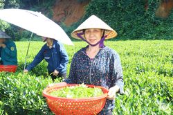 Nghị lực vượt qua nghịch cảnh