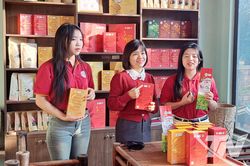 Thành lập mới 35 hợp tác xã và tổ hợp tác