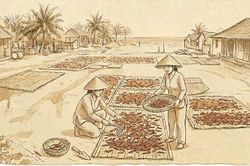 Nồng n&agrave;n từ trong c&aacute;t mặn