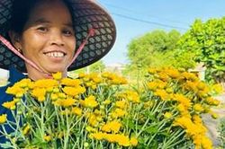 Làng hoa Giang Đông rộn ràng vào vụ