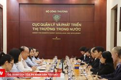 Việt Nam v&agrave; Nhật Bản đẩy mạnh hợp t&aacute;c chống x&acirc;m phạm quyền sở hữu tr&iacute; tuệ
