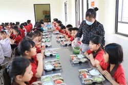 Dự kiến nâng mức hỗ trợ bữa trưa cho học sinh tiểu học