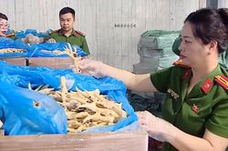 CAHN triệt phá đường dây buôn lậu hàng nghìn tấn chân gà