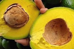 Loại quả 'tốt nhất thế giới' chỉ c&oacute; ở T&acirc;y Nguy&ecirc;n, trồng 1 lần thu hoạch nhiều năm, lu&ocirc;n l&agrave; đặc sản, ăn tươi hay l&agrave;m kem đều ngon