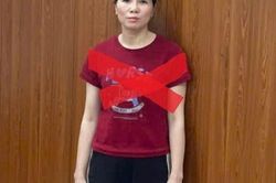 Bắt 'nữ quái' Bùi Thị Quyên lừa đảo chiếm đoạt hơn 3,6 tỷ đồng