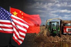 'Ngoại giao nông sản' thúc đẩy hợp tác Trung Quốc và Hoa Kỳ giữa lúc căng thẳng gia tăng