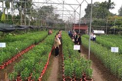 Xã Mỹ Đức: Hơn 550 hội viên nông dân được tiếp cận các nguồn vốn ưu đãi