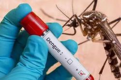 Sốt xuất huyết Dengue: Diễn biến khó lường, không theo quy luật cũ