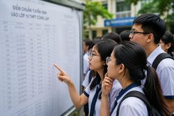 Khi nào TP.HCM công bố điểm chuẩn lớp 10?