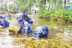 Nâng cao hiệu quả phòng ngừa, ứng phó thiên tai
