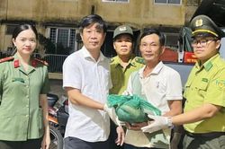 Người dân Huế giao nộp 26 cá thể động vật hoang dã, quý hiếm
