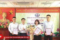 Trưởng thành dưới mái nhà Báo Công lý