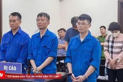 Nhận hàng tỷ đồng hối lộ để làm ngơ cho xây dựng trái phép, nhóm cựu cán bộ lĩnh án
