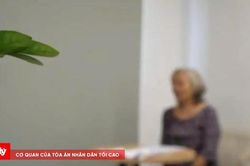 'Muốn lấy lại tiền phải đóng thêm tiền': Cú lừa khiến nhiều người sập bẫy