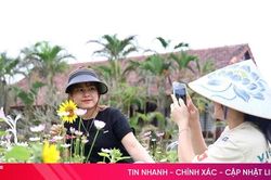 Review du lịch: Lan tỏa h&igrave;nh ảnh hay nhiễu loạn th&ocirc;ng tin?