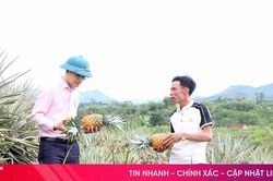 Tăng nguồn vốn địa phương, n&acirc;ng cao hiệu quả t&iacute;n dụng ch&iacute;nh s&aacute;ch