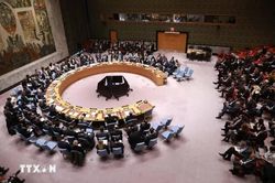 C&aacute;c nước Arab t&aacute;i khẳng định giải ph&aacute;p hai nh&agrave; nước cho Palestine