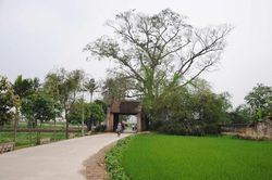 Giữ hồn làng trong quá trình sắp xếp thôn, tổ dân phố