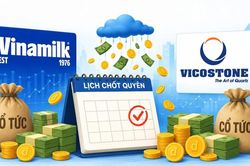 Lịch chốt quyền cổ tức tuần tới: Cổ đông Vinamilk, Vicostone nhận 'mưa tiền mặt'