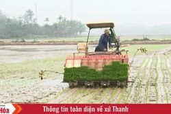 Từ cánh đồng thông minh đến giá trị hạt gạo