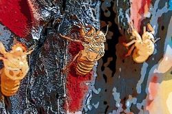 Chuyện nhỏ mà không nhỏ