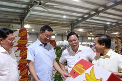 Khát vọng từ Hành lang kinh tế Đông - Tây