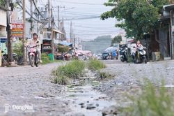 Phường Trảng Dài: Nhiều người dân hiến đất, không đòi bồi thường khi mở rộng đường Nguyễn Thái Học