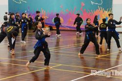 Hơn 450 võ sinh tham dự Kỳ thi thăng cấp đai môn Võ Cổ truyền tỉnh Đồng Tháp lần II