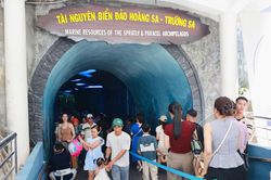 Camera gián đoạn ghi hình tại Bảo tàng Hải dương học là do mất điện