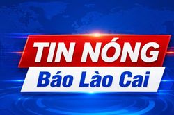 Nhiều sự cố nghiêm trọng tại châu Âu: Rò rỉ hóa chất ở Đức, cháy lớn tại London