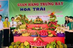 Cùng nông dân kiến tạo giá trị mới từ nông nghiệp