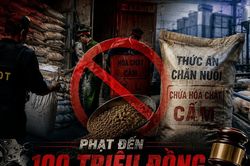 Phạt đến 100 triệu đồng với hành vi sản xuất, mua bán thức ăn chăn nuôi chứa hóa chất cấm