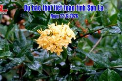 Dự b&aacute;o thời tiết to&agrave;n tỉnh Sơn La ng&agrave;y 22/6/2026